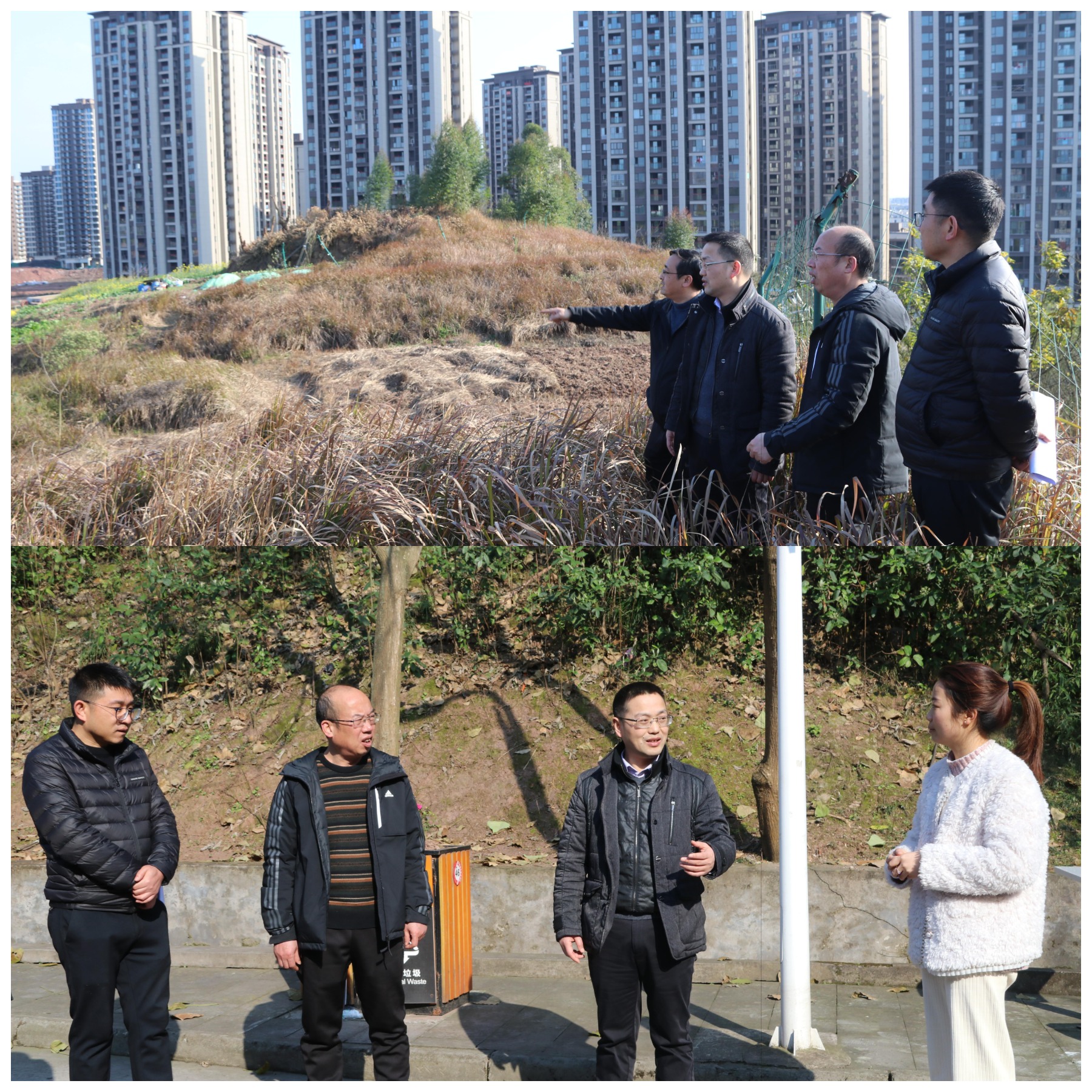 张书记文校.png 张书记文校.png