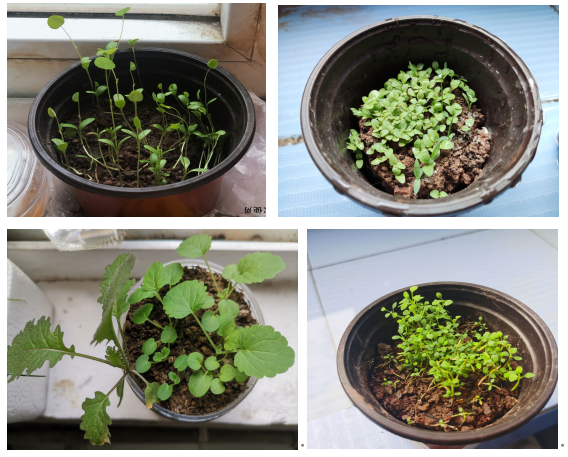 图片5.png 图片5.png