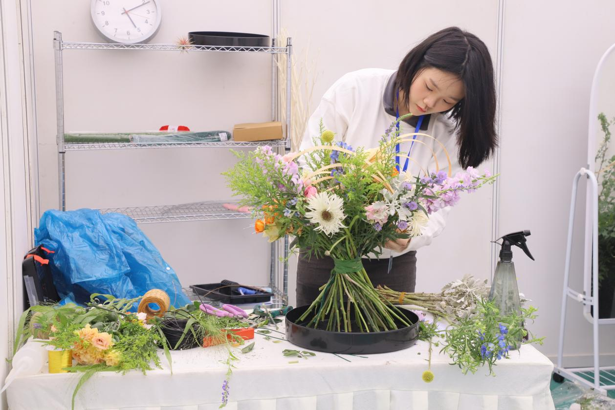 图片 8.png 图片 8.png