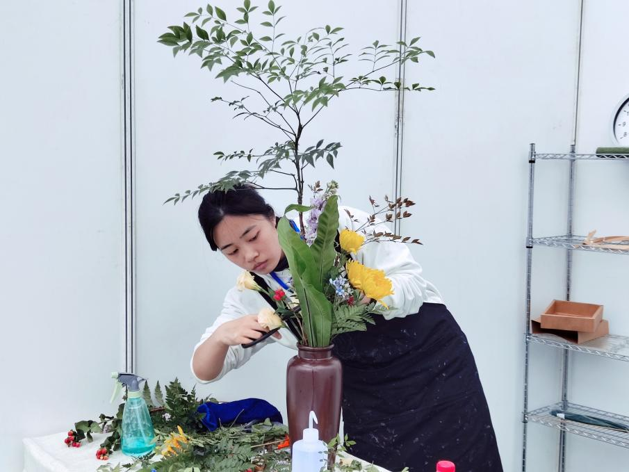 图片 9.png 图片 9.png