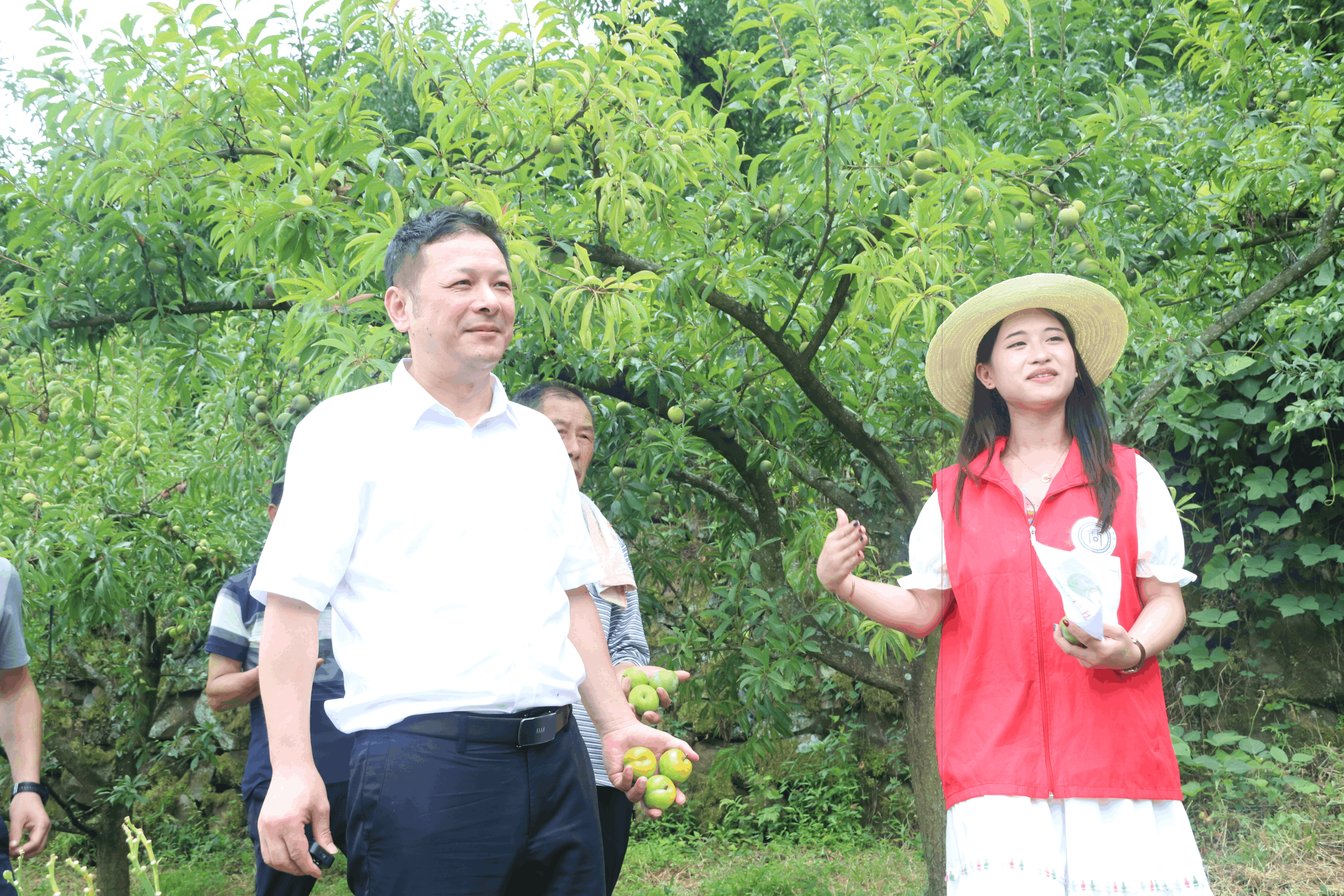 图片9.png 图片9.png