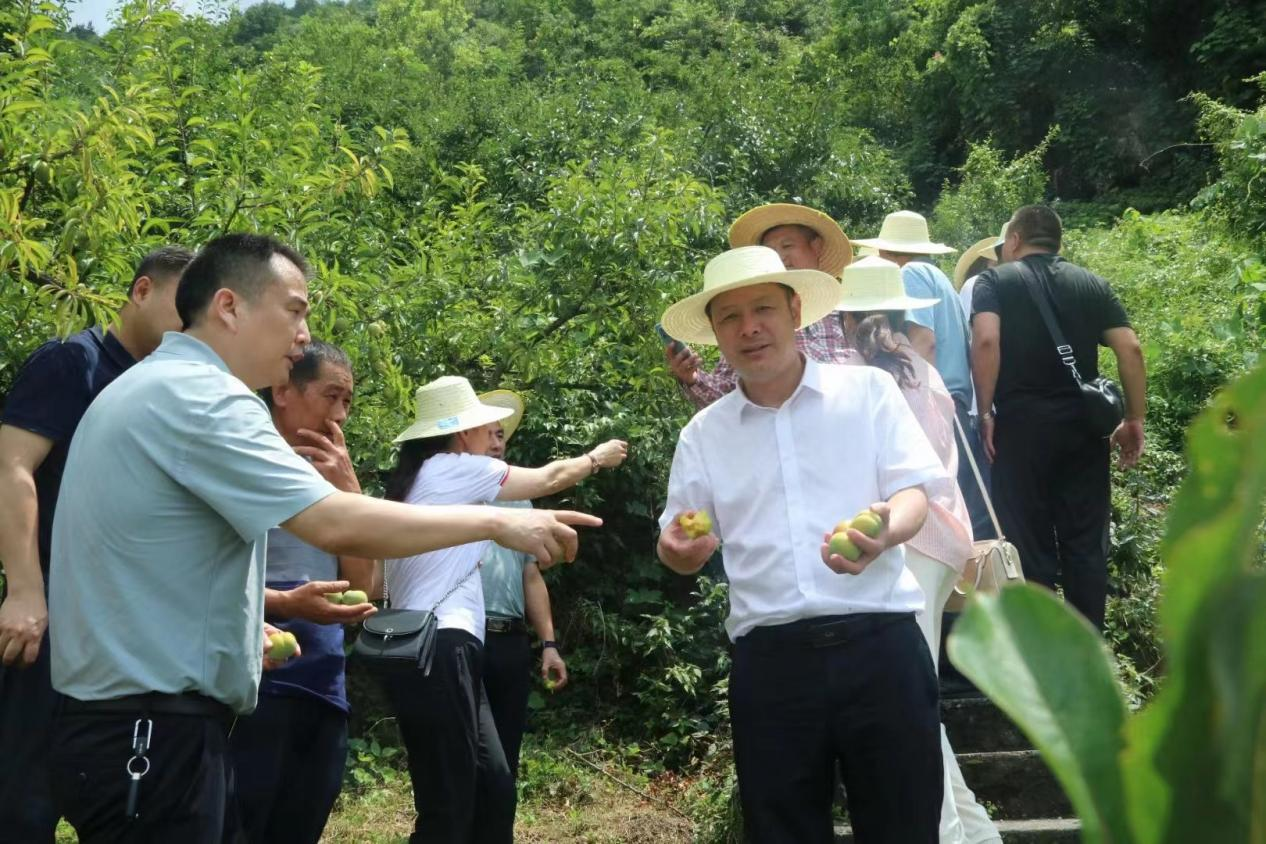 图片1.png 图片1.png