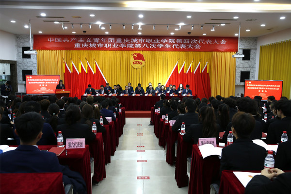 一.3.做爱视频
第四次团代会、第八次学代会.jpg